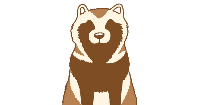 こちらを見ているタヌキのシンプルイラスト タヌキ,動物,シンプル,リアル寄り,アニメ風,正面顔のイラスト素材