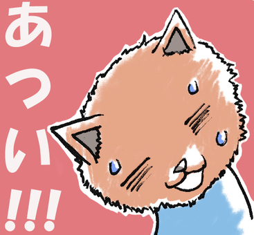 暑がってる猫です。