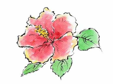 絵手紙風の赤いハイビスカス ハイビスカス,花,植物,夏,赤,7月,8月,絵手紙,沖縄,毛筆のイラスト素材