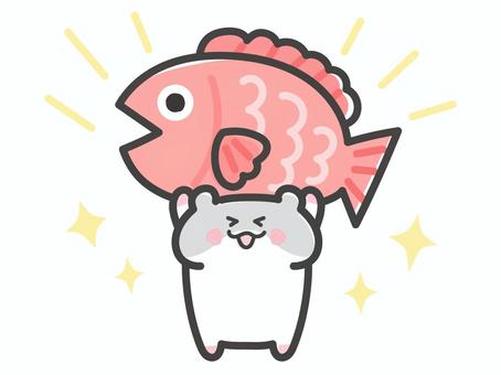 タイを掲げて喜ぶハムスター タイを掲げて喜ぶハムスター 鯛,おめでたい,縁起物,ハムスター,持つ,掲げる,キャラクター,ゆるい,手描き風,幸運のイラスト素材