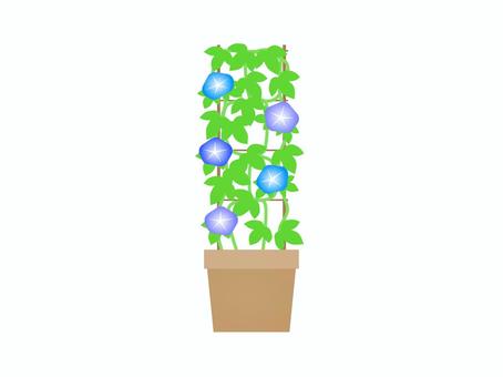 朝顔の鉢 朝顔の鉢 アサガオ,花,植物,風物詩,夏,プランター,葉っぱ,育てる,植える,アイコンのイラスト素材