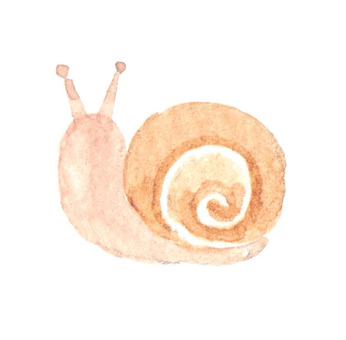 Snail, , JPG