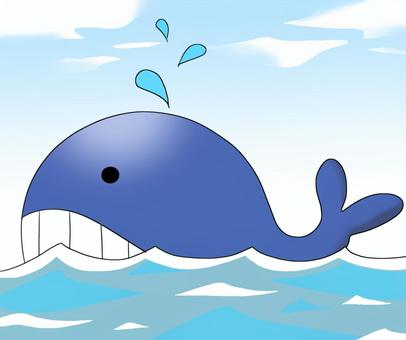 whale, , JPG and PNG