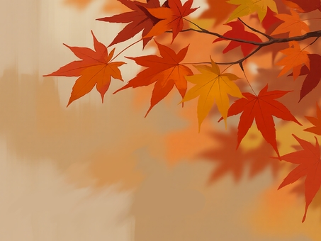 もみじの壁紙 もみじ,紅葉,赤,赤色,黄,黄色,オレンジ,橙,植物,葉のイラスト素材