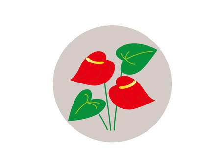 アンスリウム アンスリウム,観葉植物,仏炎苞,8月,7月,夏のイラスト素材