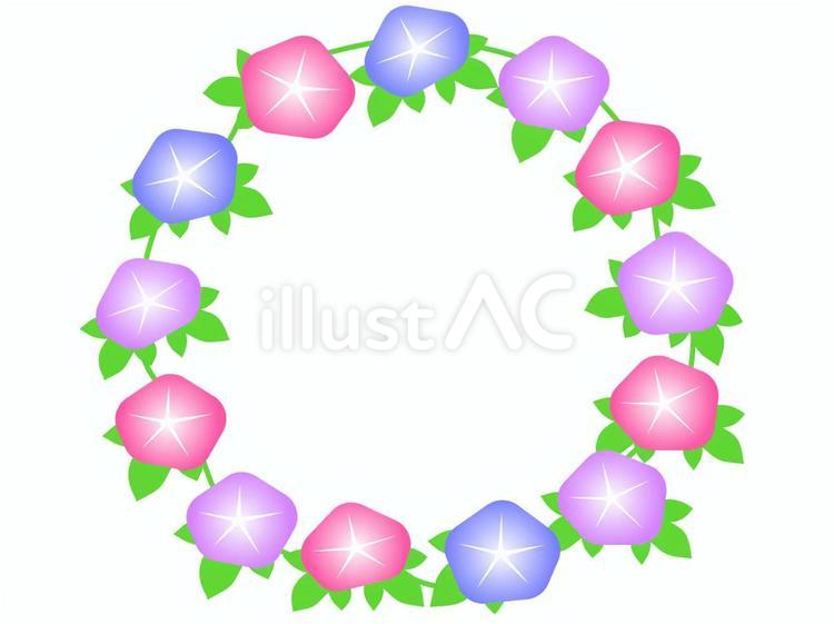 朝顔の花フレーム アサガオ,花,植物のイラスト素材