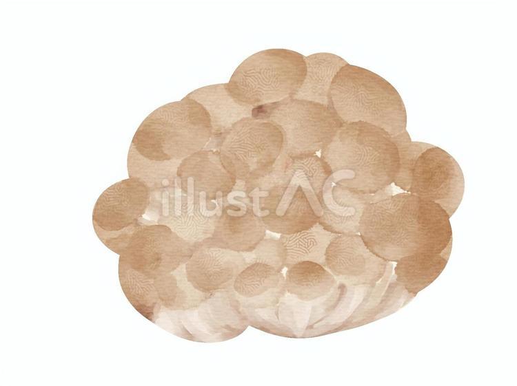 水彩風のしめじ しめじ,きのこ,水彩風のイラスト素材