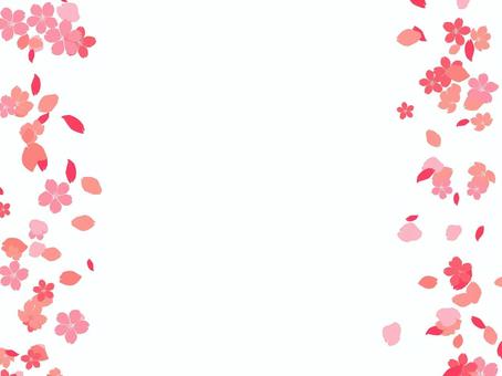 Cherry blossom background vertical, JPG and PNG Cherry blossom background vertical, cherry blossoms, spring, pink, JPG and PNG