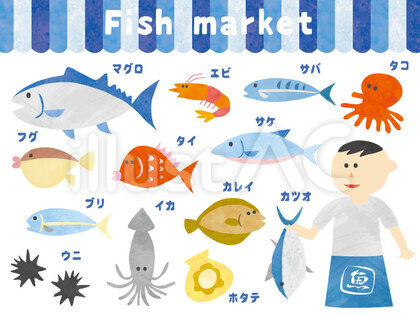 魚屋 セット