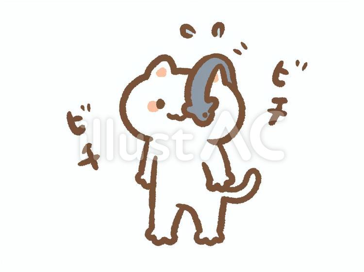 ねことウナギ ねこ,うなぎ,頭のイラスト素材