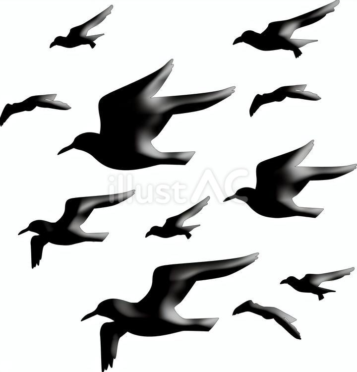 カモメ　　 カモメ,鳥類,飛ぶのイラスト素材