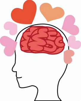 脳みそ幸せ　 脳みそ,幸せ,ホルモン,オキシトシン,大脳,前頭葉,体,恋愛,人物のイラスト素材