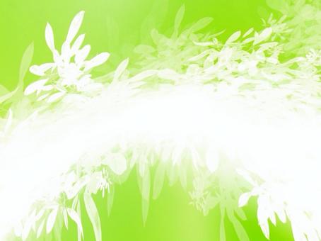 彩花の光-グリーン05