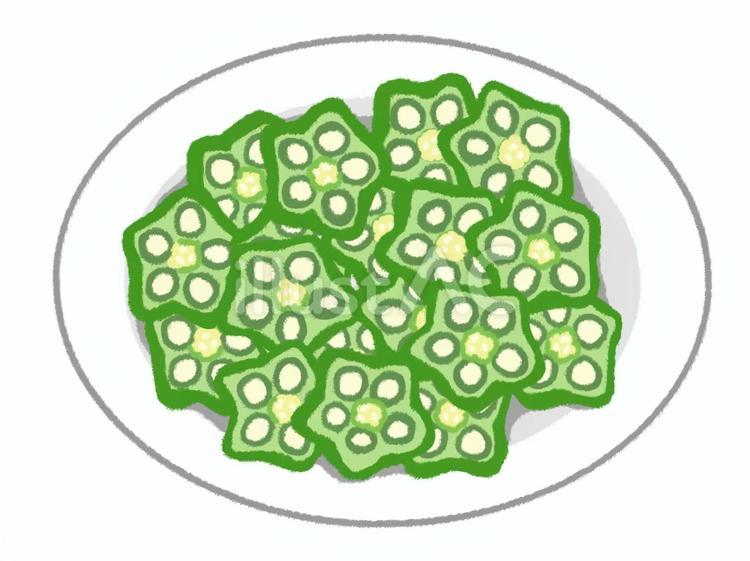 白い皿にのった星型のカットオクラ オクラ,カット,皿のイラスト素材