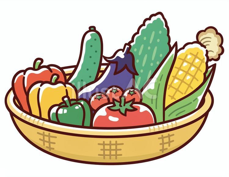 とれたて新鮮な夏野菜のカゴ盛り 夏,野菜,トウモロコシのイラスト素材
