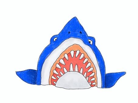 サメ 鮫,ホラー,海,哺乳類,恐怖,ジョーズ,牙,色鉛筆画,挿絵,シンプルのイラスト素材