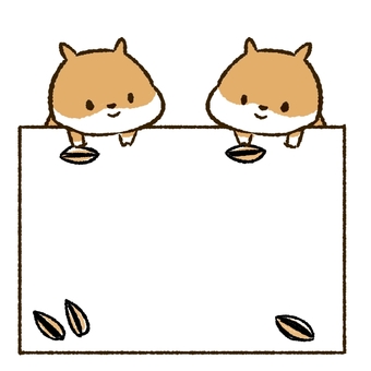 hamster, hamster, animal, tiny, JPG