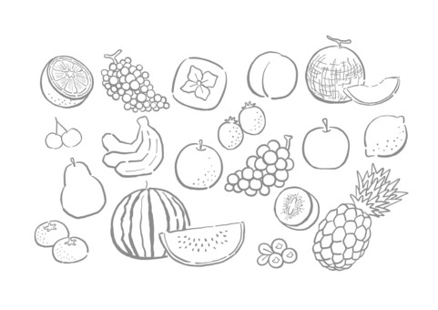 ぬりえ・線画【くだもの】 ぬりえ,線画,くだもの,モノクロ,食べ物,メロン,スイカ,桃,パイナップル,ブルーベリーのイラスト素材
