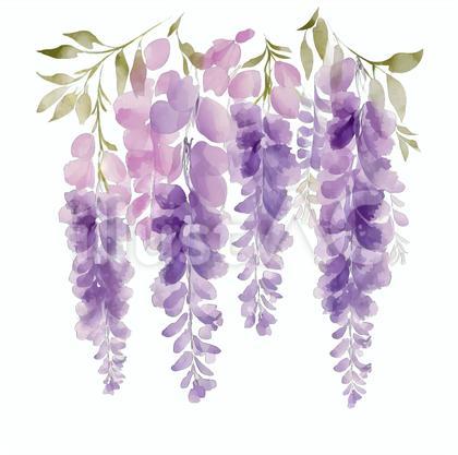 水彩タッチ 藤の花
