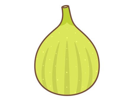 Illustration, figs, white fig, fruit, 