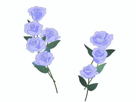 青薔薇の装飾 バラ,花,植物,葉,装飾,青のイラスト素材