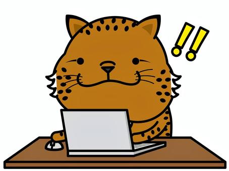 Illustration, laptop, computer, iberian lynx, 