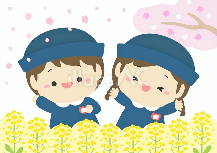 入園式の幼稚園の子どもと桜と菜の花 入園,入園式,春のイラスト素材