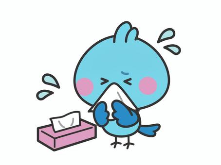 テッシュで鼻をかむ青い小鳥