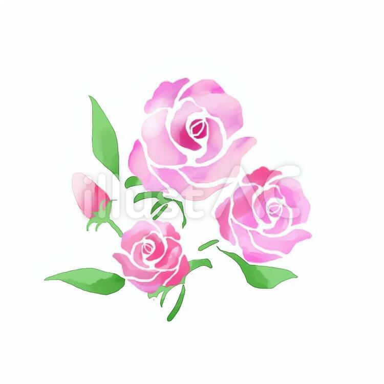 薔薇（赤） 花,ピンク,赤のイラスト素材