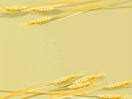 黄金色の麦穂とキャンバス地　004 麦穂,黄金色,リアル,ナチュラル,お洒落,自然,植物,大人っぽい,枠,背景のイラスト素材