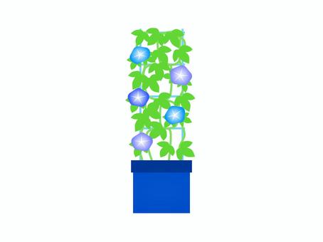 朝顔の栽培キット 朝顔の栽培キット アサガオ,花,植物,風物詩,夏,プランター,葉っぱ,育てる,植える,アイコンのイラスト素材