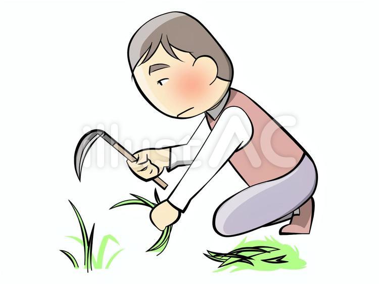男性-草むしり201003 男性,草むしり,除草のイラスト素材