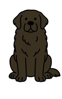 お座りするニューファンドランド ニューファンドランド,お座り,大型犬,ペット,黒色のイラスト素材