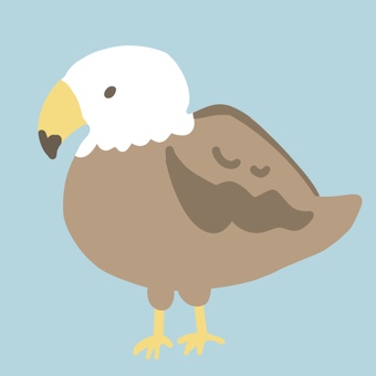 飛んでない鷹(鳥) 猛禽類,鷹,タカ,鳥,手書きのイラスト素材