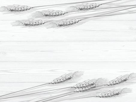 白黒の麦穂と板の背景2 mugi003 白黒の麦穂と板の背景2 mugi003 麦穂,白黒,リアル,ナチュラル,お洒落,自然,植物,大人っぽい,枠,背景のイラスト素材