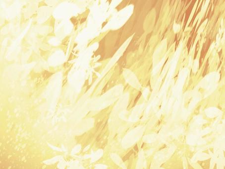 彩花の庭-イエローオレンジ03 イエロー,オレンジ,光のイラスト素材