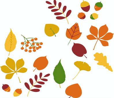 leaf leaf