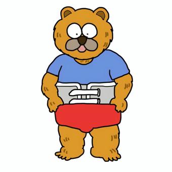 corset bear, JPG corset bear, bear, rehabilitation, pt, JPG