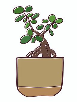 手描き風の観葉植物のイラスト-04 観葉植物,植物,グリーン,葉っぱ,インテリア,手描き,手書き,シンプル,ナチュラル,イラスト素材のイラスト素材