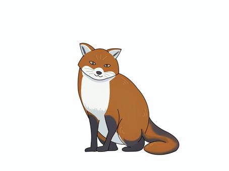 Illustration, uma raposa, raposas vermelhas, animal, 