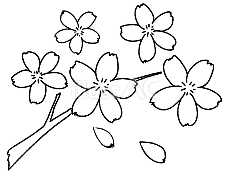 春といえばさくら（入学／卒業の季節に） かわいい,おしゃれ,春のイラスト素材