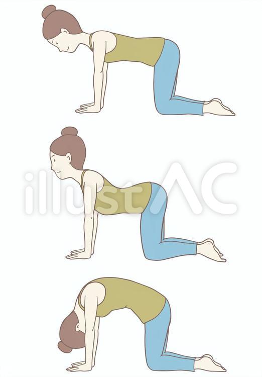 ヨガ、猫のポーズをする女性 ヨガ,猫,ポーズのイラスト素材