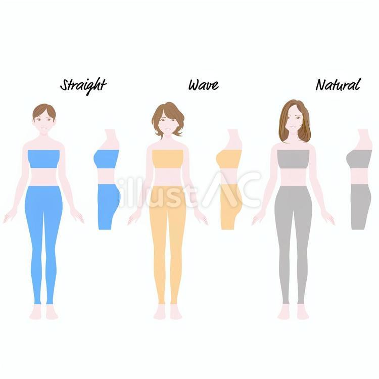 骨格診断 骨格診断,人物,女性のイラスト素材