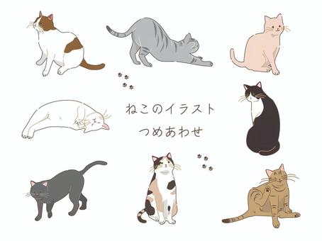 猫のイラストセット ネコ,セット,動物,ペット,茶白,サバトラ,クリーム,白,ハチワレ,グレーのイラスト素材