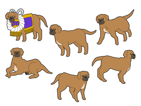 土佐犬6種 土佐犬,犬,大型犬,闘犬,日本犬,化粧まわし,かっこいい,強い,横顔,正面顔のイラスト素材