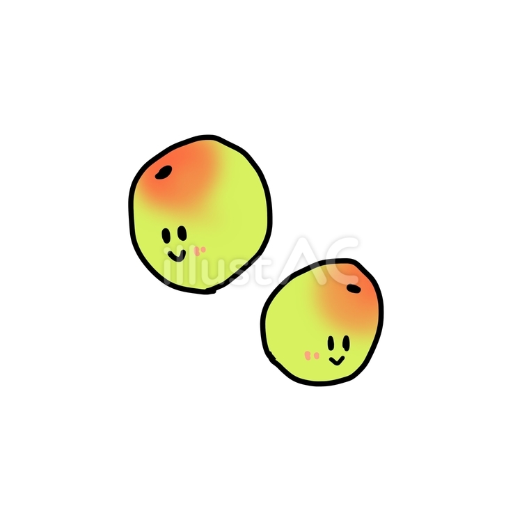 梅の実　にこにこ 梅,梅の実,梅仕事のイラスト素材