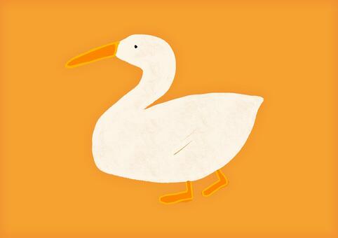 手描きの白い鳥イラスト 鳥,アヒル,白い鳥,動物,かわいい,ゆるい,手描き,シンプル,素材,ワンポイントのイラスト素材