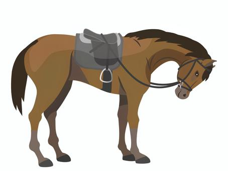うなだれている馬具をつけている馬 うなだれている馬具をつけている馬 馬装,馬具,鞍,頭絡,ゼッケン,腹帯,ゲルパッド,馬,動物,鹿毛のイラスト素材