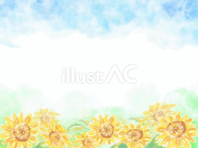 夏の背景とひまわり２ ひまわり,夏,背景のイラスト素材