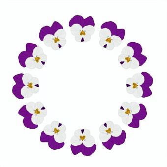 三色堇花圈框架, JPG 和 PNG 三色堇花圈框架, 三色堇, 花圈, 框架, JPG 和 PNG